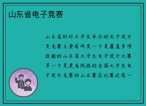 山东省电子竞赛