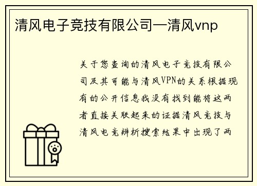 清风电子竞技有限公司—清风vnp